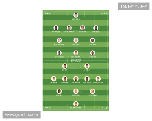 维罗纳球队焕新腾飞，新结构布局助力新赛季目标明确分析